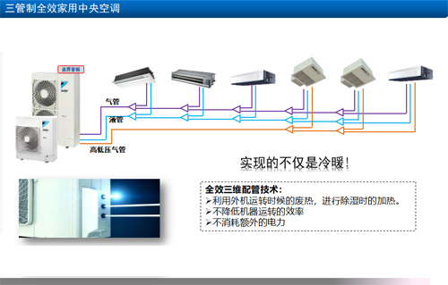 舒适全效家中图片